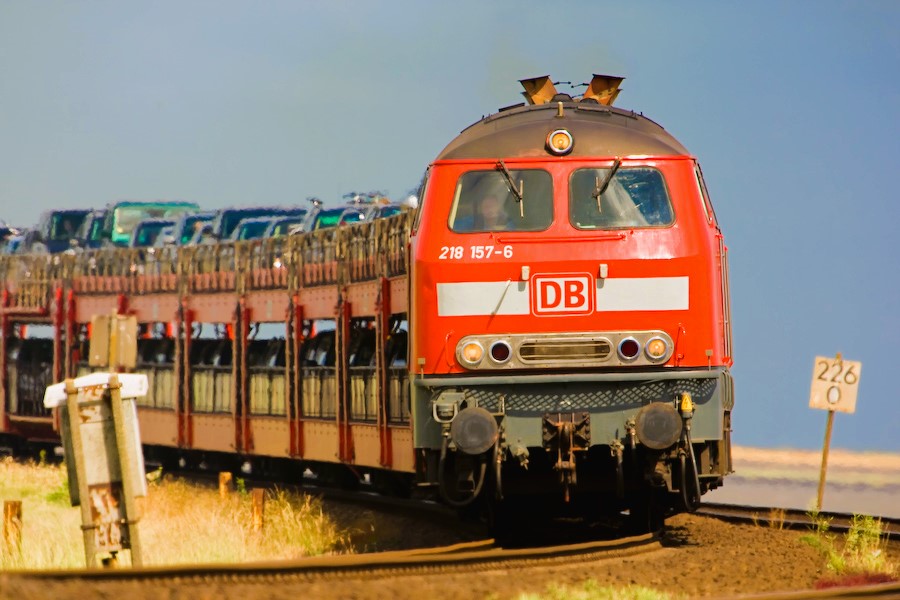 Autozug nach Sylt verunglückt! Zug rast in Rinderherde  - 10 Tiere tot, Passagiere geschockt