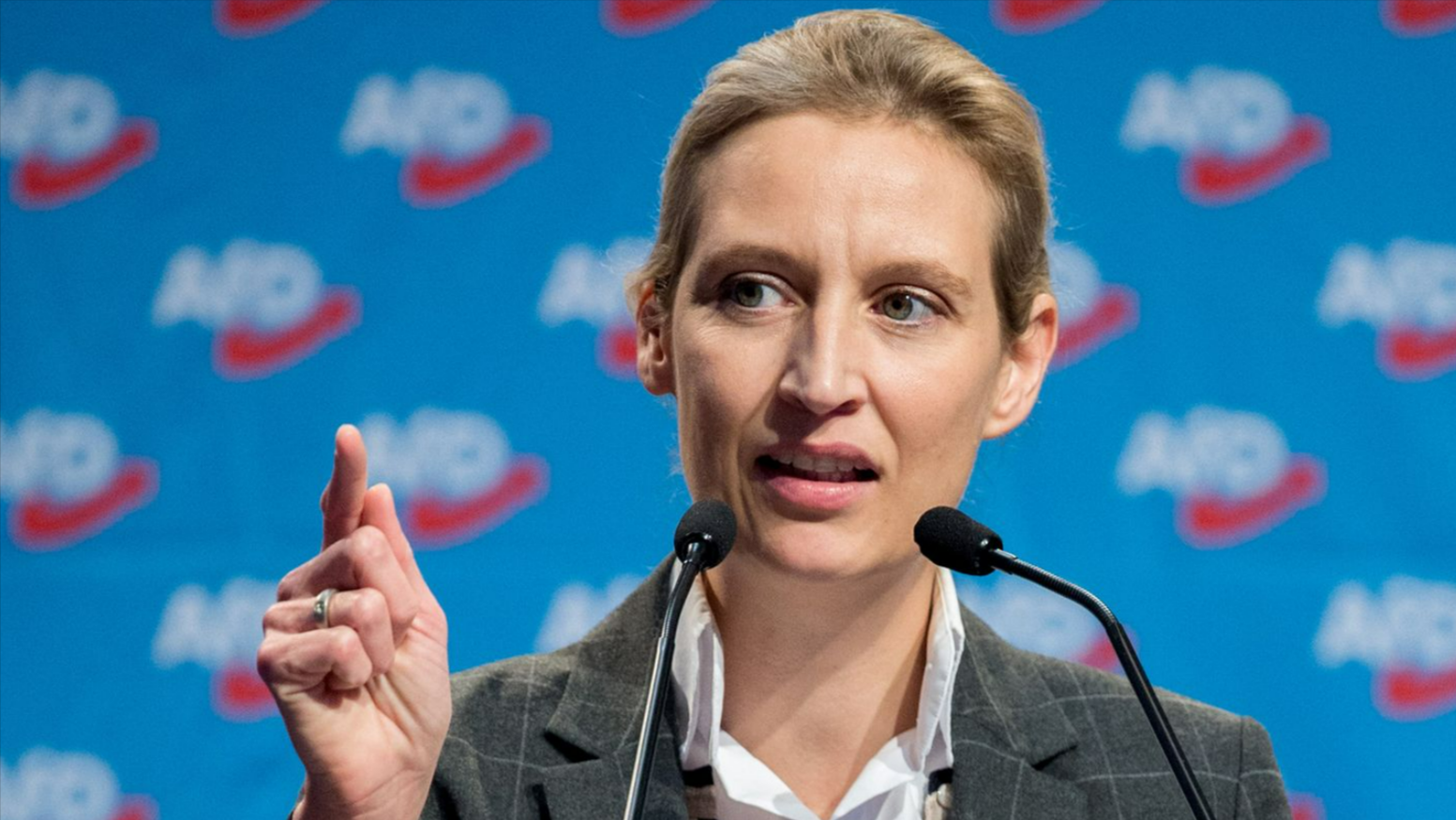 AFD-Verbot! Neue Umfragen zeigen: Mehrheit der Deutschen würde Verbot der AfD befürworten!
